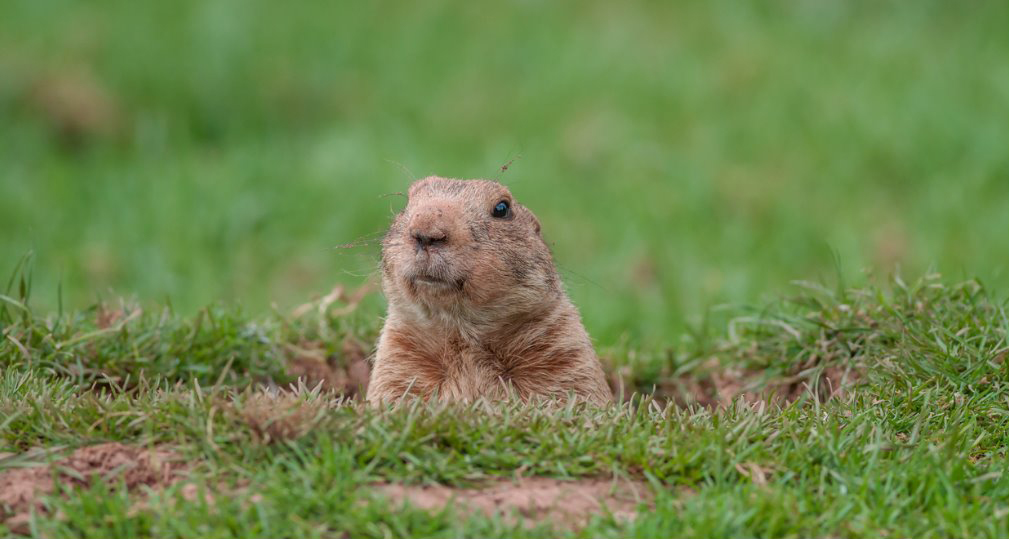 Don’t let your workday be Groundhog Day
