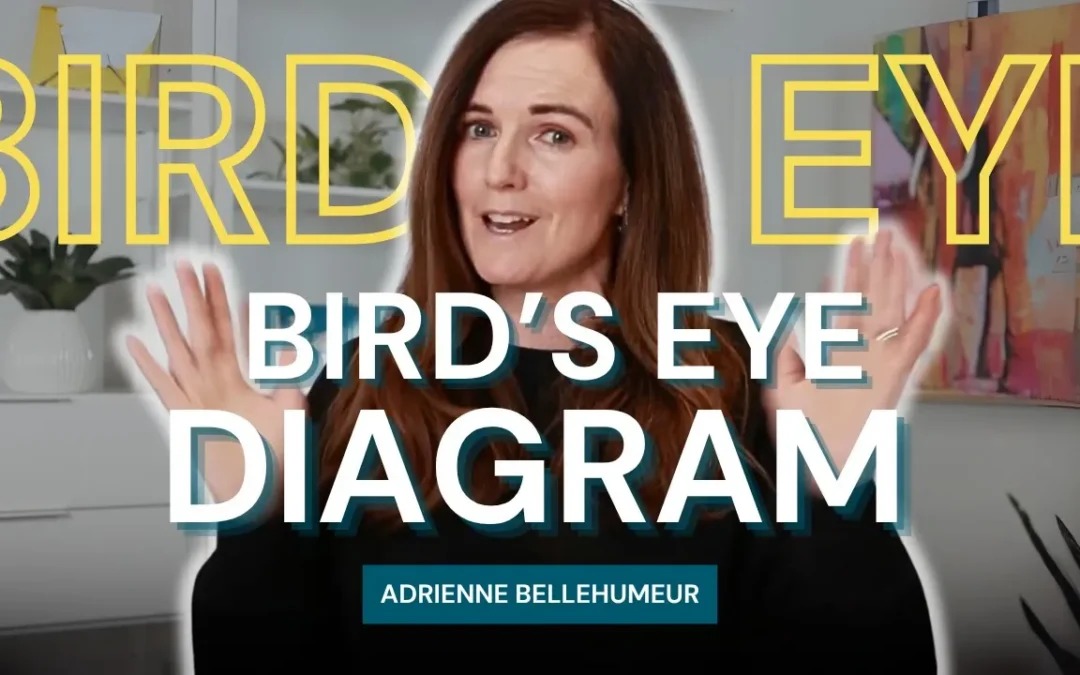Bird’s Eye Diagrams: Transforming Internal Control Documentation